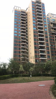 十二生肖与商品房楼层选择 传统文化与现代居住的融合之道